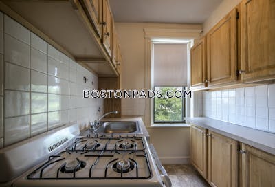 Allston Studio 1 Bath Boston - $2,400