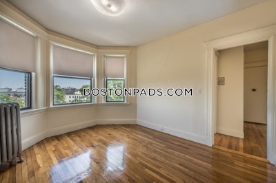 Allston Apartment for rent 1 Bedroom 1 Bath Boston - $2,800 No Fee