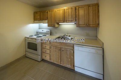 Allston Apartment for rent 1 Bedroom 1 Bath Boston - $3,350