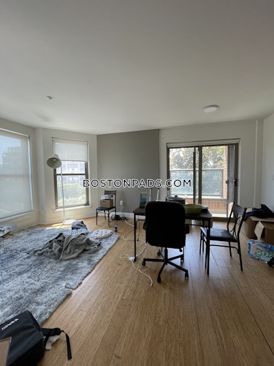 Allston Apartment for rent 2 Bedrooms 2 Baths Boston - $4,100 No Fee