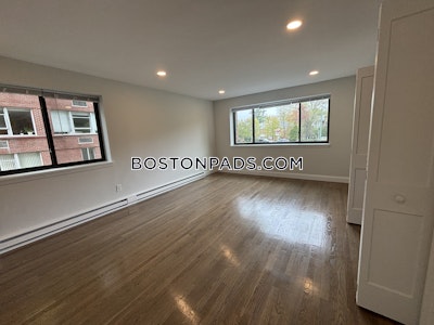 Newton Apartment for rent 2 Bedrooms 2 Baths  Chestnut Hill - $3,450
