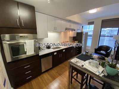 Downtown Apartment for rent Studio 1 Bath Boston - $2,600 No Fee