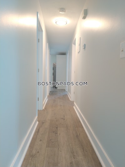 Dorchester Apartment for rent 3 Bedrooms 1 Bath Boston - $3,195 50% Fee