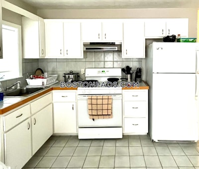 East Boston Apartment for rent 1 Bedroom 1 Bath Boston - $2,700 No Fee