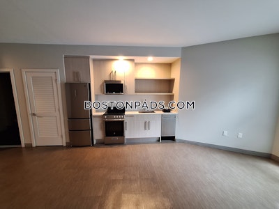 Jamaica Plain Studio  baths Luxury in BOSTON Boston - $3,525 No Fee