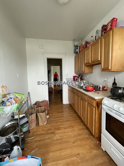 Brighton Apartment for rent 1 Bedroom 1 Bath Boston - $2,525 No Fee