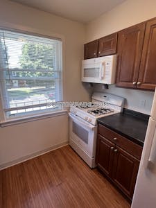 East Boston Apartment for rent 1 Bedroom 1 Bath Boston - $2,500
