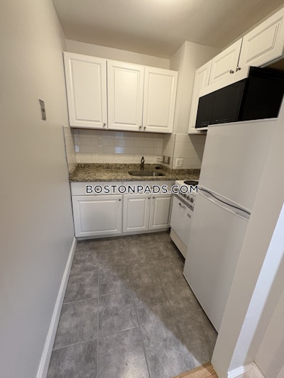 Brookline Studio 1 Bath  Coolidge Corner - $1,900