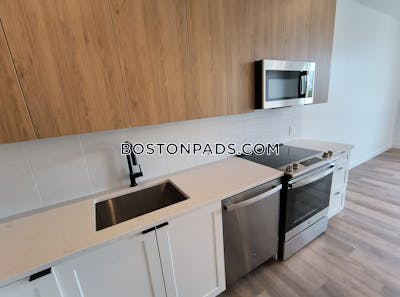 East Boston 2 bedroom 2 baths Luxury in BOSTON Boston - $4,784
