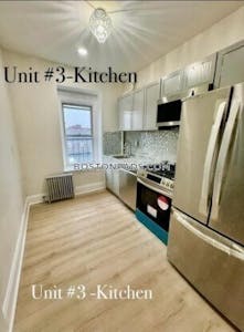 Roxbury Apartment for rent 2 Bedrooms 1 Bath Boston - $2,500