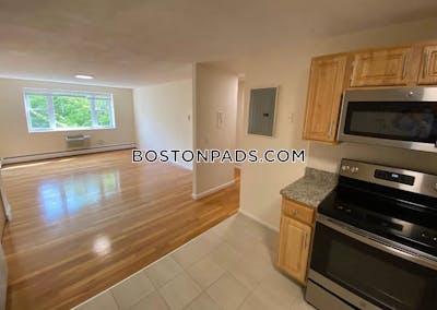 Brookline Apartment for rent 2 Bedrooms 1 Bath  Coolidge Corner - $3,600 No Fee