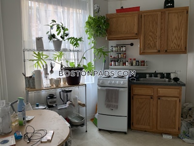 Allston Apartment for rent Studio 1 Bath Boston - $2,045 No Fee