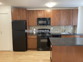 Brighton Apartment for rent 1 Bedroom 1 Bath Boston - $2,837 No Fee