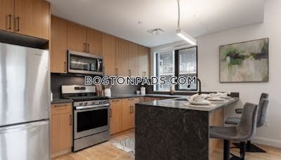 Allston Apartment for rent 2 Bedrooms 2 Baths Boston - $4,575 No Fee