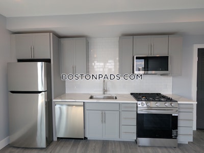 Brighton Apartment for rent 2 Bedrooms 2 Baths Boston - $4,250 No Fee
