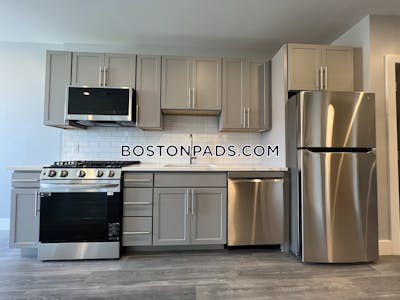 Brighton Apartment for rent 1 Bedroom 1 Bath Boston - $3,600 No Fee