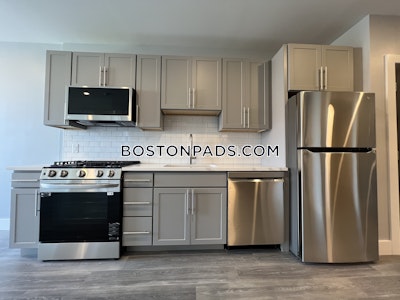 Brighton Apartment for rent 1 Bedroom 1 Bath Boston - $3,600 No Fee