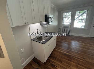 Brighton Apartment for rent Studio 1 Bath Boston - $1,900 No Fee