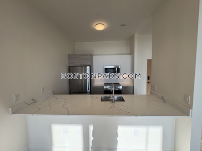 Allston Apartment for rent 2 Bedrooms 2 Baths Boston - $4,550 No Fee
