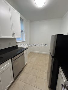 Brighton Apartment for rent 1 Bedroom 1 Bath Boston - $2,595 No Fee