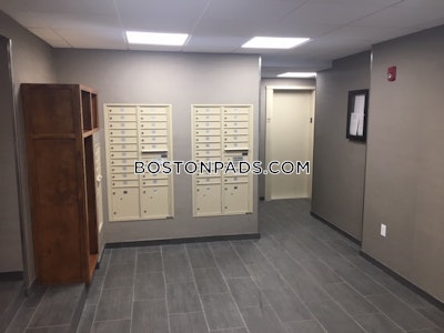 Brookline Apartment for rent 2 Bedrooms 1 Bath  Washington Square - $3,395 No Fee