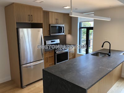 Allston Apartment for rent 2 Bedrooms 2 Baths Boston - $4,700 No Fee