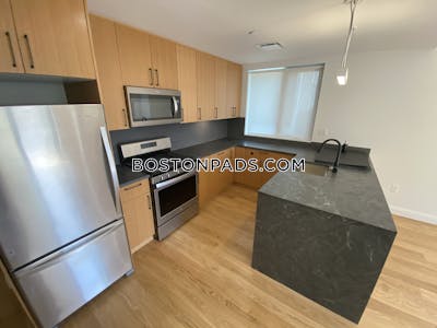 Allston 2 Beds 2 Baths Boston - $4,700 No Fee
