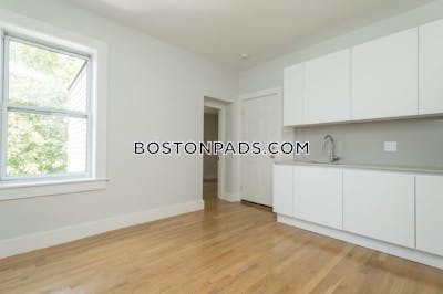 Brighton Apartment for rent 2 Bedrooms 1 Bath Boston - $3,500