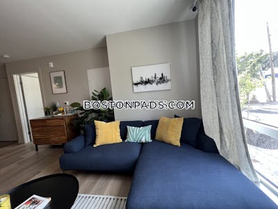 Brighton Apartment for rent Studio 1 Bath Boston - $2,777