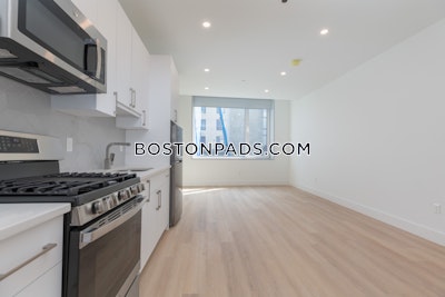 South End Apartment for rent Studio 1 Bath Boston - $2,250