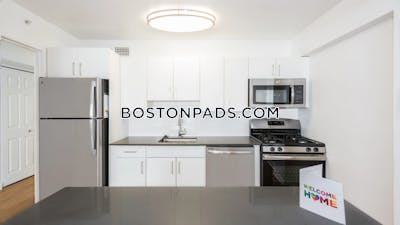 West End Apartment for rent Studio 1 Bath Boston - $2,970
