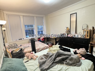 Allston/brighton Border Apartment for rent 1 Bedroom 1 Bath Boston - $2,275 No Fee