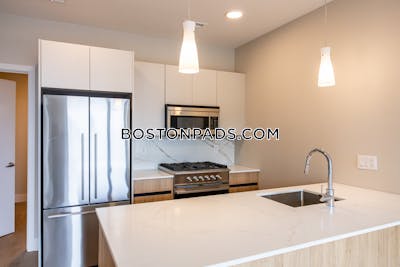 Brighton 3 bedroom 2 baths in BOSTON Boston - $4,800 No Fee