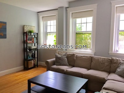 Brighton Apartment for rent 1 Bedroom 1 Bath Boston - $2,200 No Fee