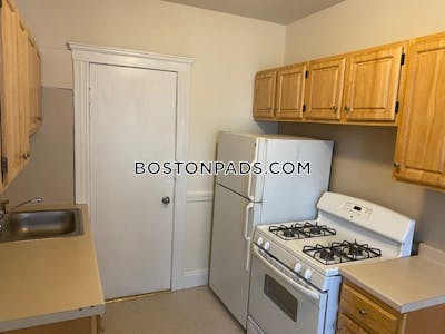 Brighton Apartment for rent 1 Bedroom 1 Bath Boston - $2,400 No Fee
