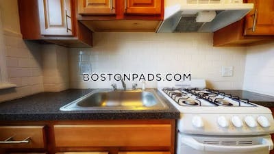 Allston Apartment for rent Studio 1 Bath Boston - $1,750 No Fee