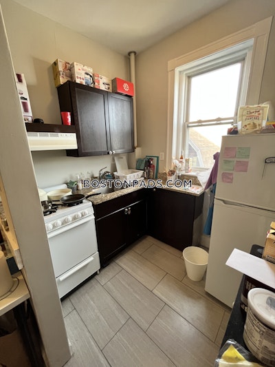 Allston Apartment for rent 1 Bedroom 1 Bath Boston - $2,790