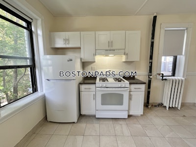 Allston Apartment for rent 1 Bedroom 1 Bath Boston - $2,700 No Fee