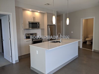 Jamaica Plain Apartment for rent 2 Bedrooms 2 Baths Boston - $3,685