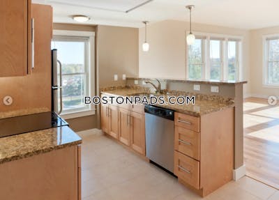 Cambridge Apartment for rent 1 Bedroom 1 Bath  Mt. Auburn/brattle/ Fresh Pond - $3,325 No Fee