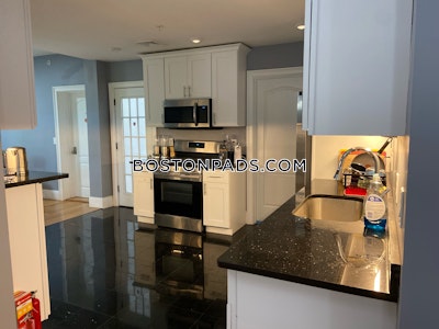 Brighton 8 Beds 6  Baths Boston - $14,200 No Fee