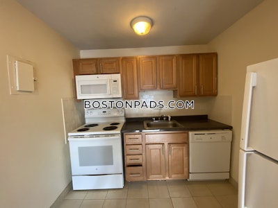 Allston Apartment for rent 1 Bedroom 1 Bath Boston - $3,350