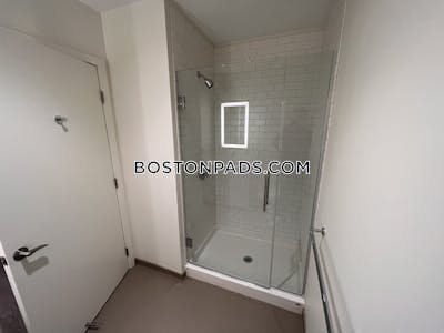 Allston Apartment for rent Studio 1 Bath Boston - $3,206