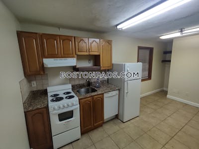 Allston Apartment for rent Studio 1 Bath Boston - $1,700 No Fee