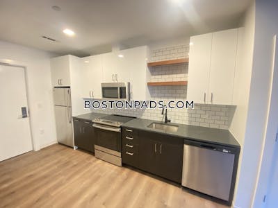 Allston Apartment for rent 2 Bedrooms 2 Baths Boston - $3,995 No Fee