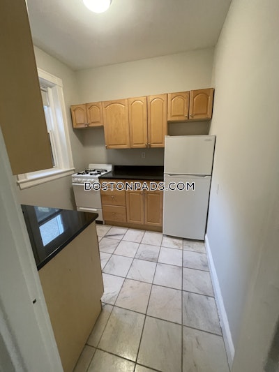 Allston Apartment for rent 1 Bedroom 1 Bath Boston - $3,000